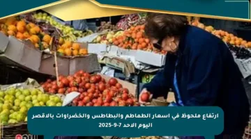 ارتفاع ملحوظ في أسعار الطماطم والبطاطس والخضراوات بالأقصر اليوم الأحد 7-9-2025